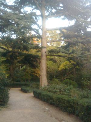 Прикрепленное изображение: Фото0301.jpg